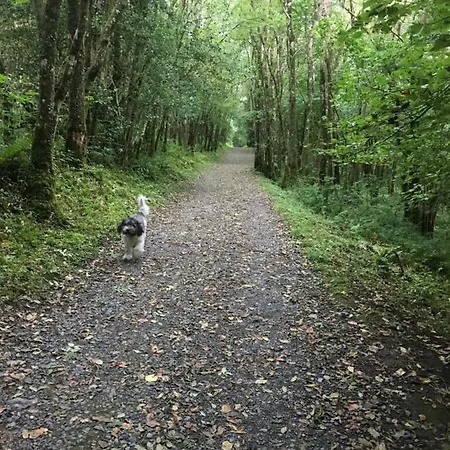 Castlehacket House 3*