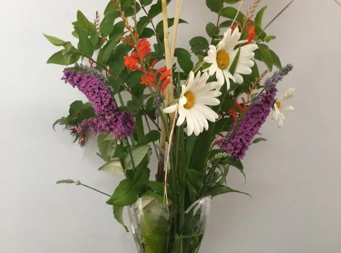 Castlehacket House Frühstückspension Belclare