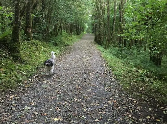 Castlehacket House 3*